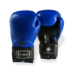 Blue Bytomic Performer V4 Boxing Gloves