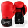 Red Bytomic Performer V4 Boxing Gloves